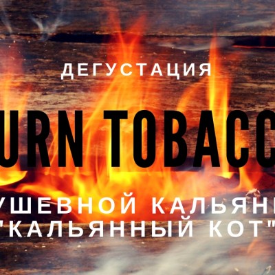 Обзор дегустации табак Burn